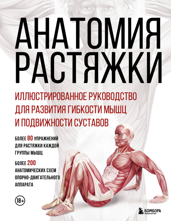 Иллюстрированное руководство Sovabooks по растяжке, развитие гибкости мышц и подвижности суставов, страницы с изображениями растяжек