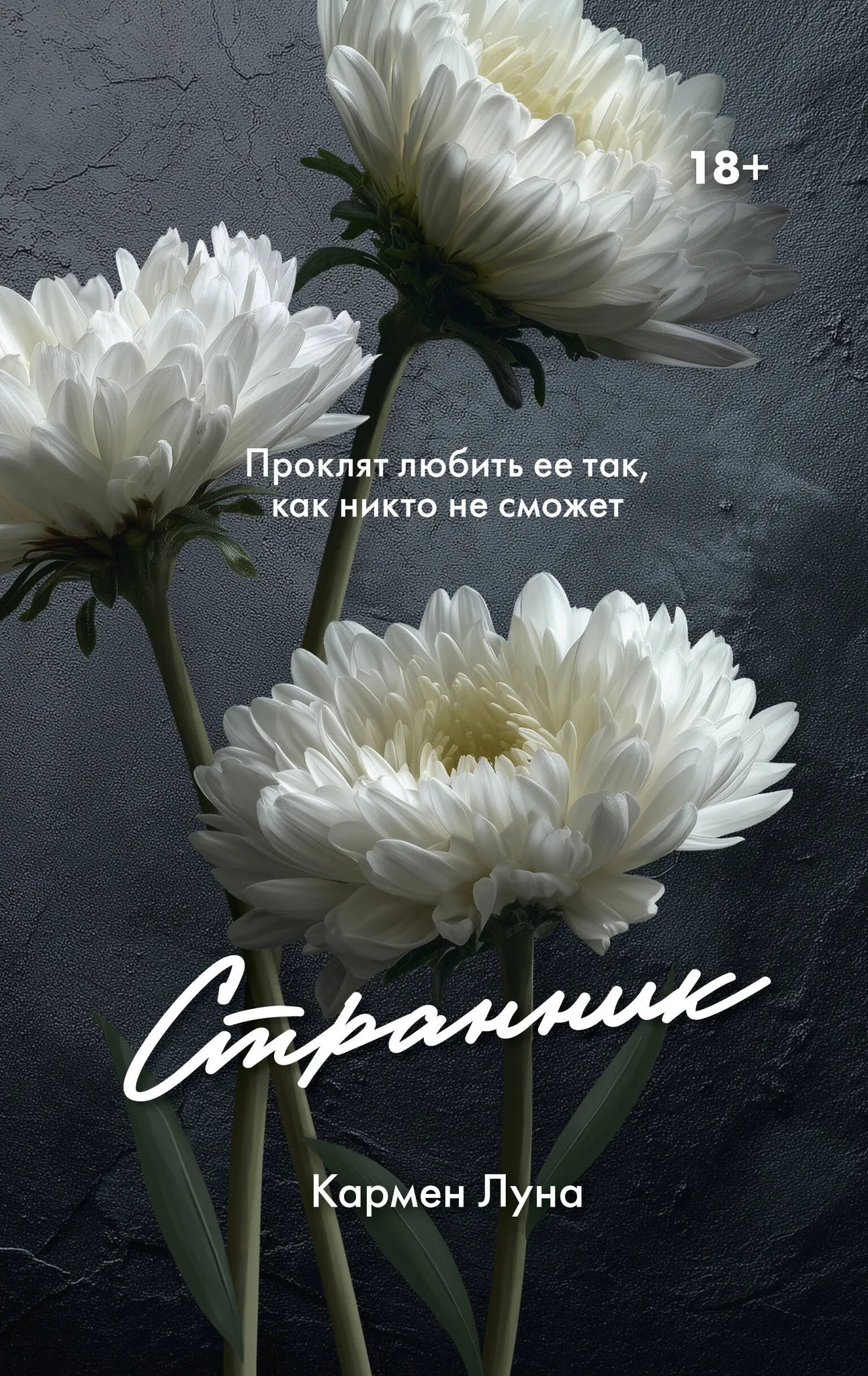 Обложка книги "Странник" от Sovabooks с изображением на фоне ночного пейзажа и звездного неба.