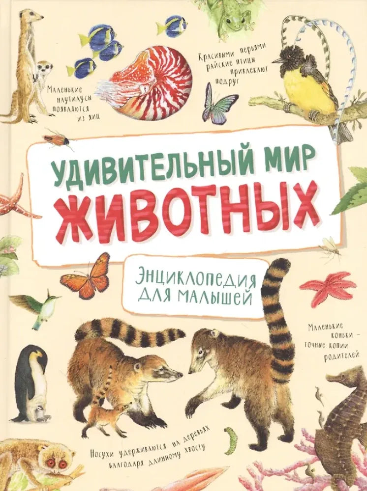 Книга «Удивительный мир животных. Энциклопедия для малышей», Росмэн. 2021, твердая обложка