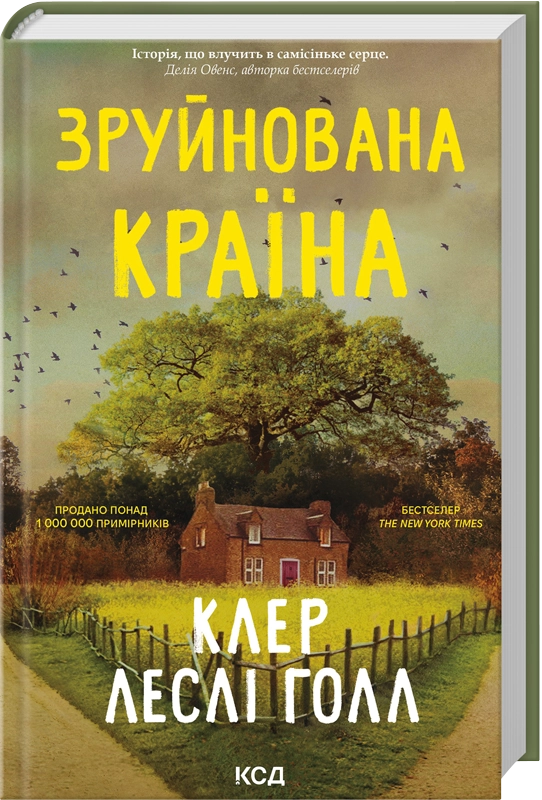 Обложка книги "Зруйнована країна" Клер Леслі Голл, современная украинская художественная литература, изображение на фоне.