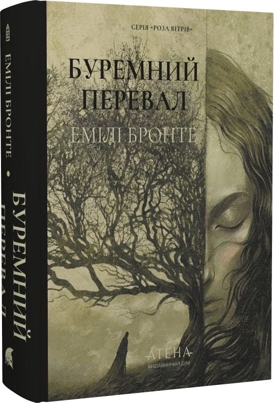Обкладинка української художньої книги "Буремний перевал" із зображенням на обкладинці, випущена Sovabooks.