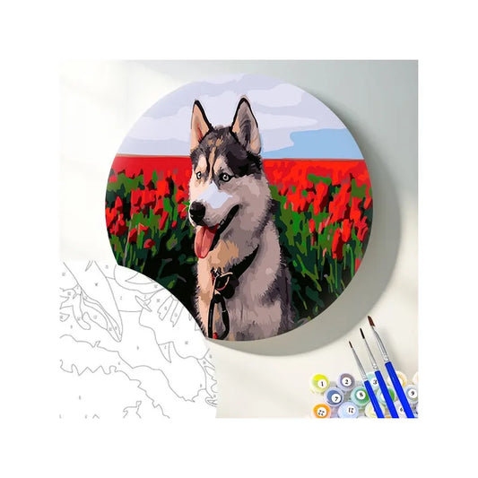 Круглая картина по номерам Хаски в тюльпановом поле
