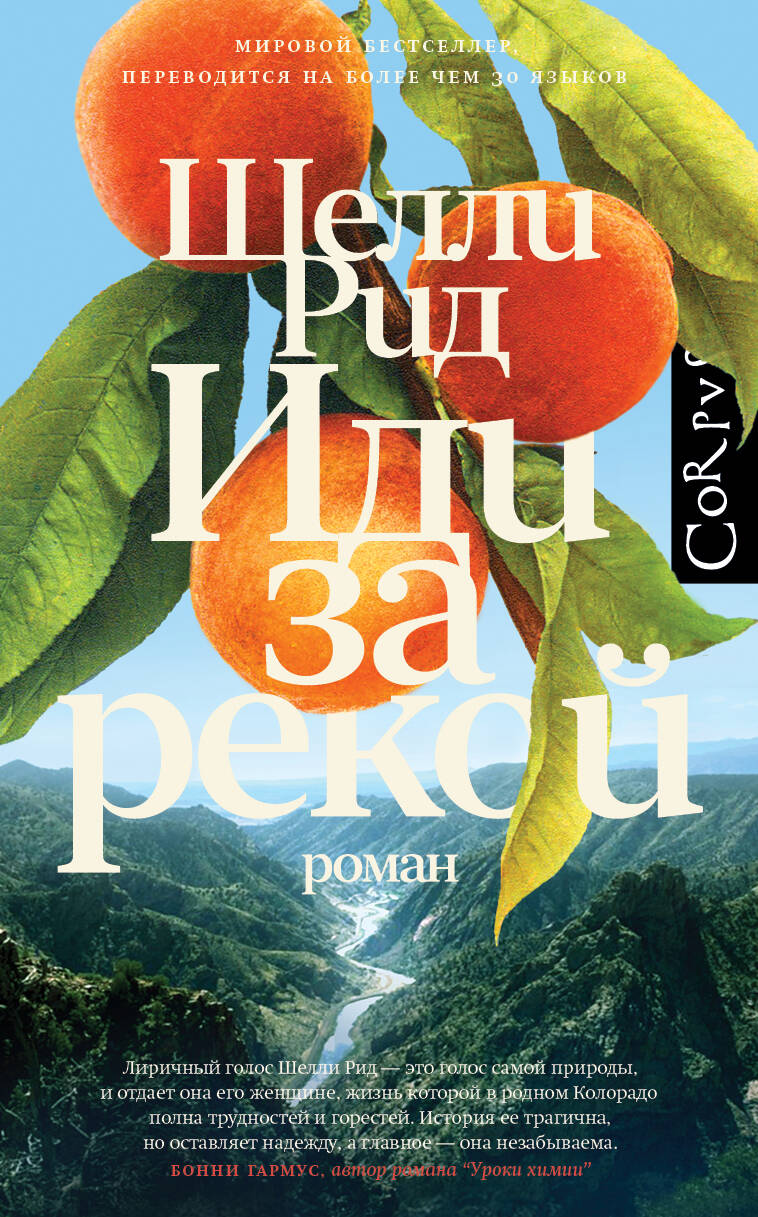 Обложка книги "Иди за рекой" от SOVABOOKS, современная русская художественная литература, изображение на белом фоне