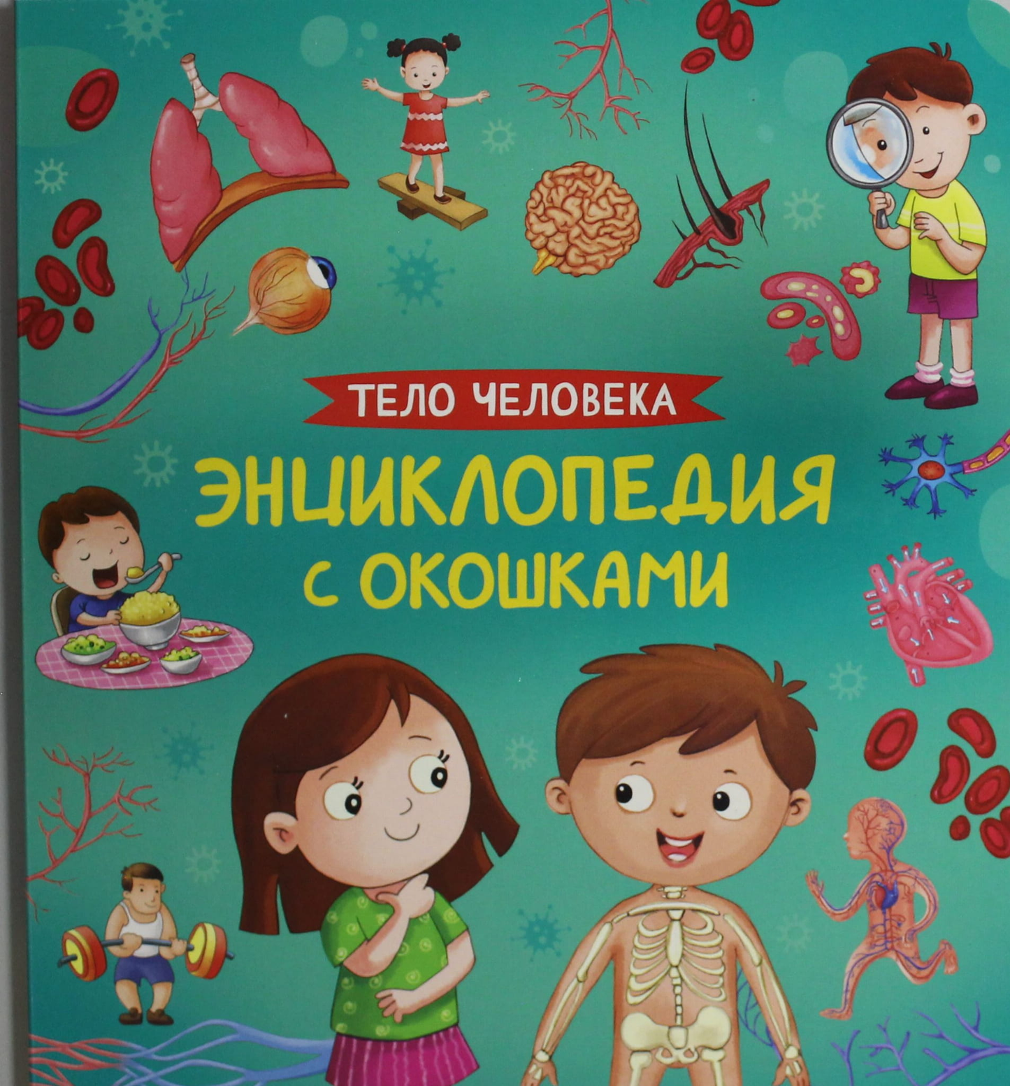 Книга для детей "Тело человека. Энциклопедия с окошками" от SOVABOOKS, иллюстрированное изображение страниц.
