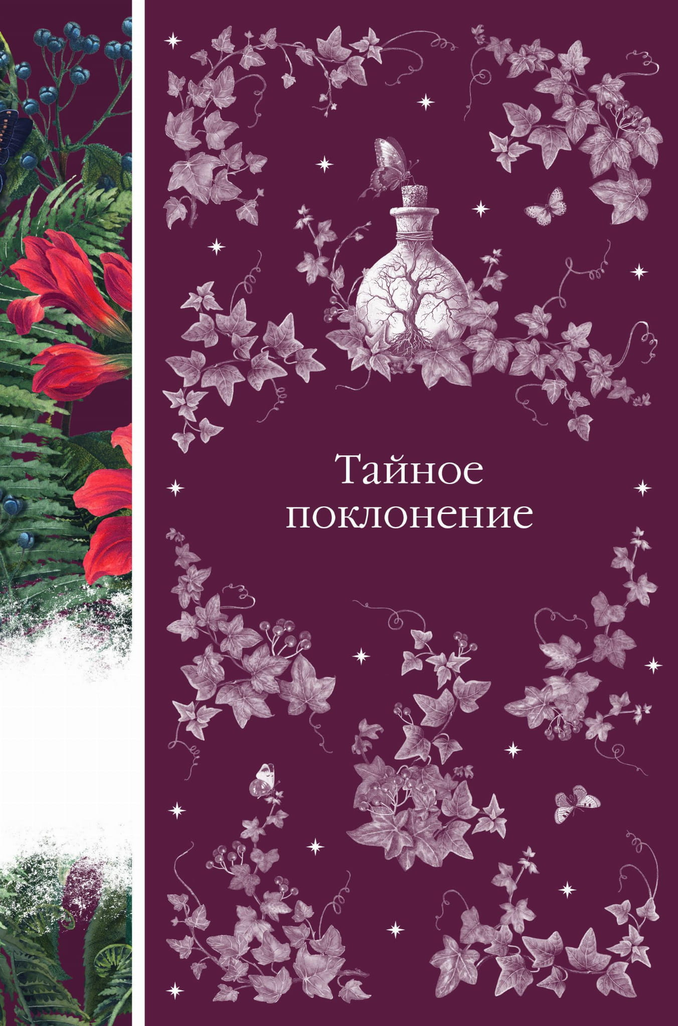 Обложка книги «Тайное поклонение» из классической русской художественной литературы, издание SOVABOOKS