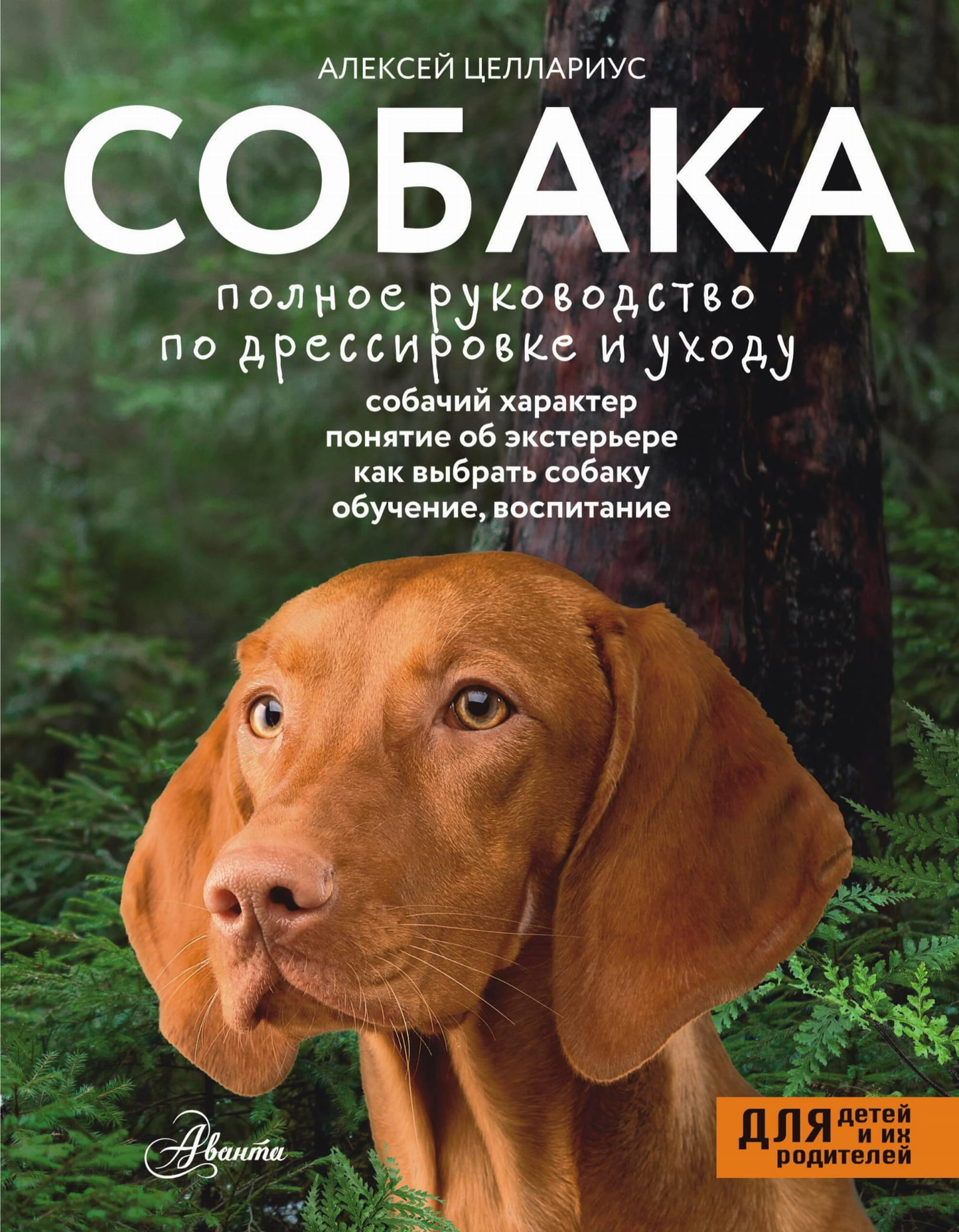 Обложка книги "Собака. Полное руководство по дрессировке и уходу" от Sovabooks, изображение с названием и иллюстрацией собаки.