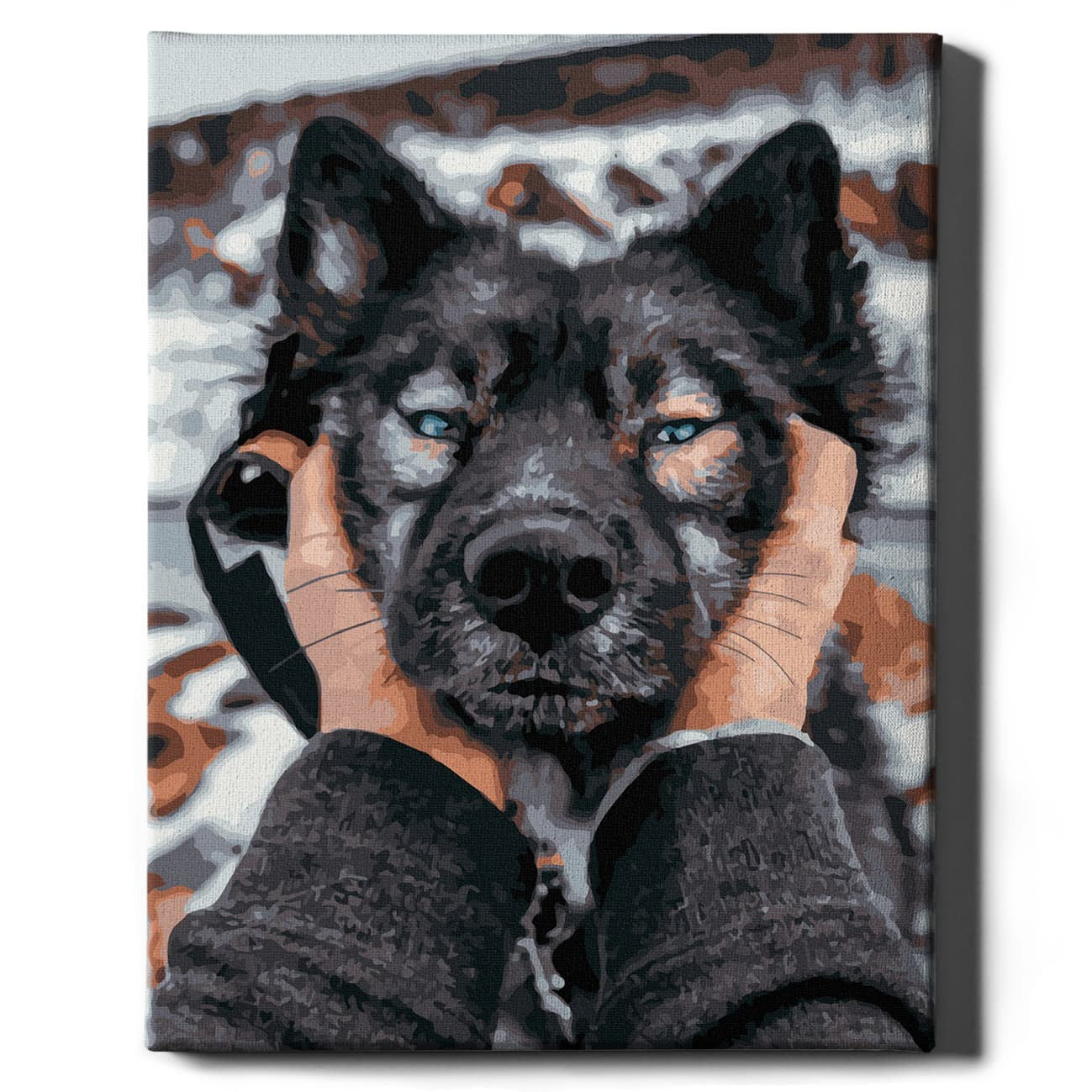 Картина по номерам Сибирский хаски от Sovabooks, набор для творчества с изображением сибирского хаски и красочной палитрой.