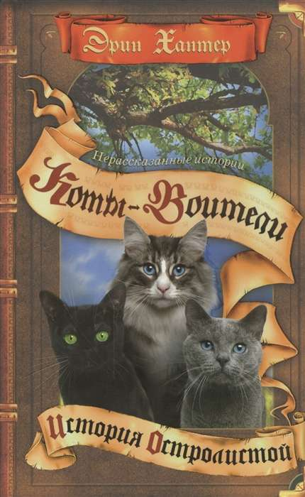 Книга Нерассказанные истории. История Остролистой ХАНТЕР Э. | SOVABOOKS