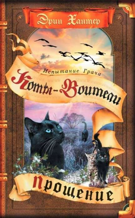 Книга Испытание Грача. Прощение ХАНТЕР ЭРИН | SOVABOOKS