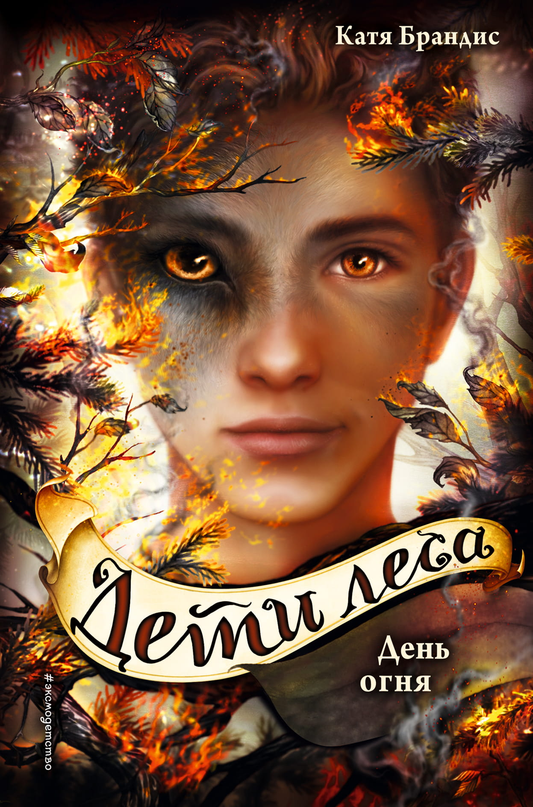 Книга Дети леса. Книги 4-6. Комплект с плакатом Брандис К. - SOVABOOKS