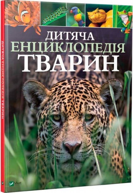 Дитяча енциклопедія тварин від Sovabooks, українська дитяча книга з ілюстраціями та інформацією про тварин.