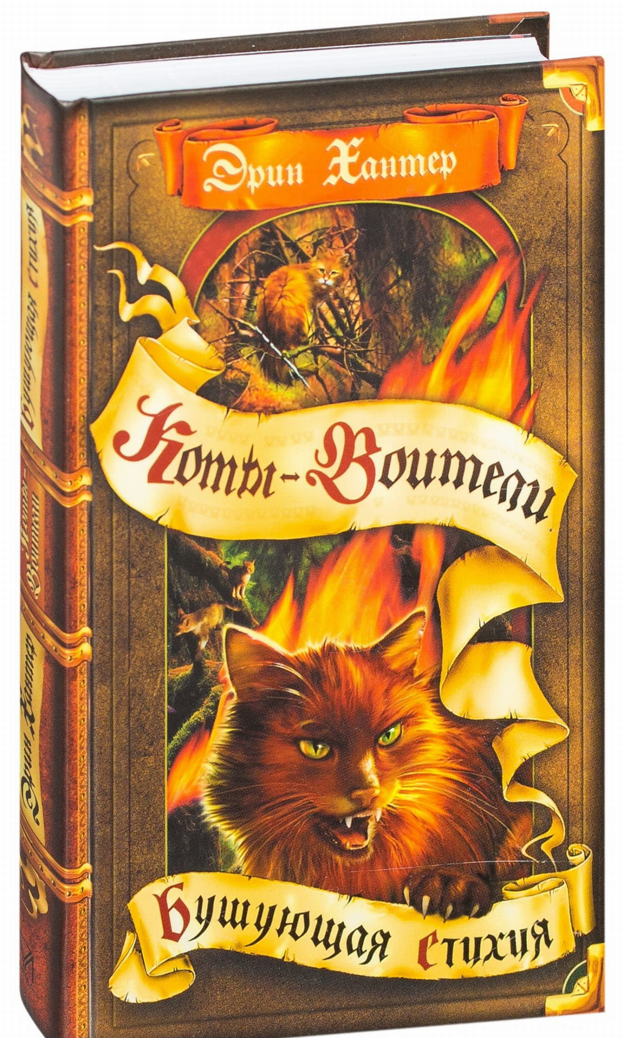 Детская книга "Коты-воители. Бушующая стихия" от SOVABOOKS, обложка с изображением котов и огненной стихии.