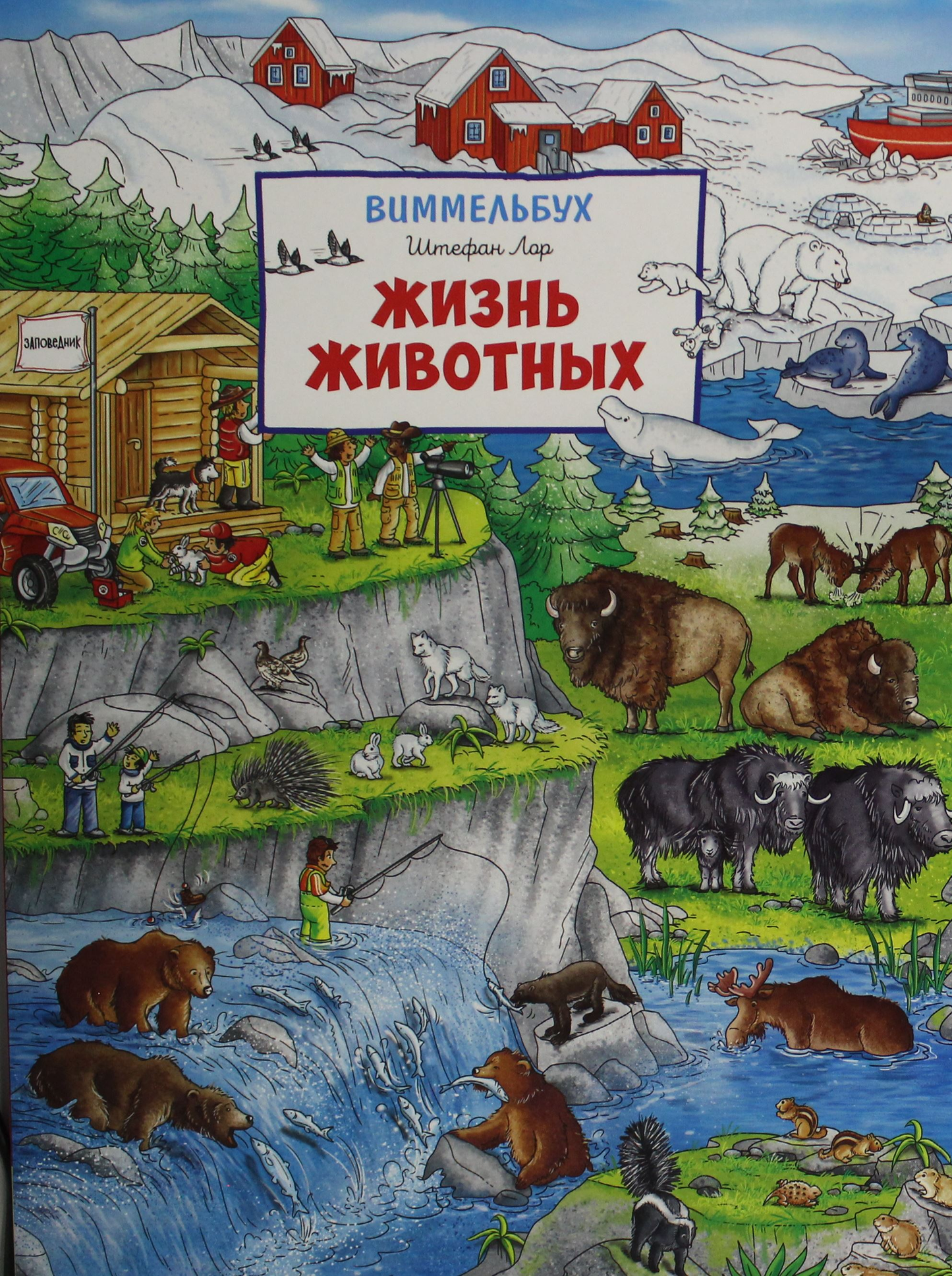 Детская книга "Жизнь животных" Виммельбух от SOVABOOKS с яркими иллюстрациями для малышей