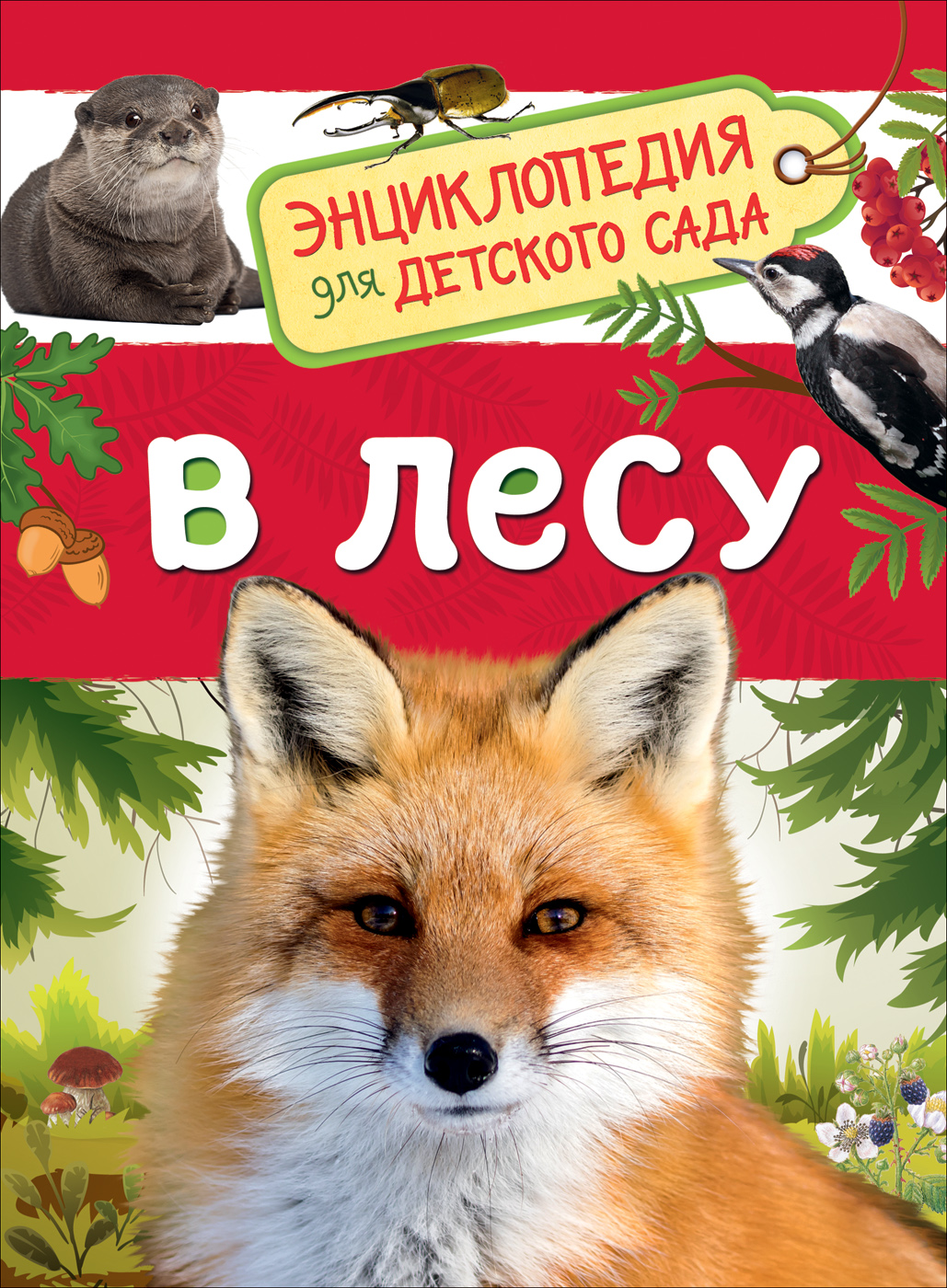 Детская книга «Клюшник Л. В. В лесу» от SOVABOOKS, иллюстрация с изображением леса и персонажей для детей.