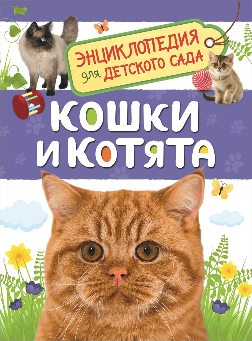 Книга "Кошки и котята" Мигунова Е.Я для детей, иллюстрации и название на обложке, изображение книги Sovabooks