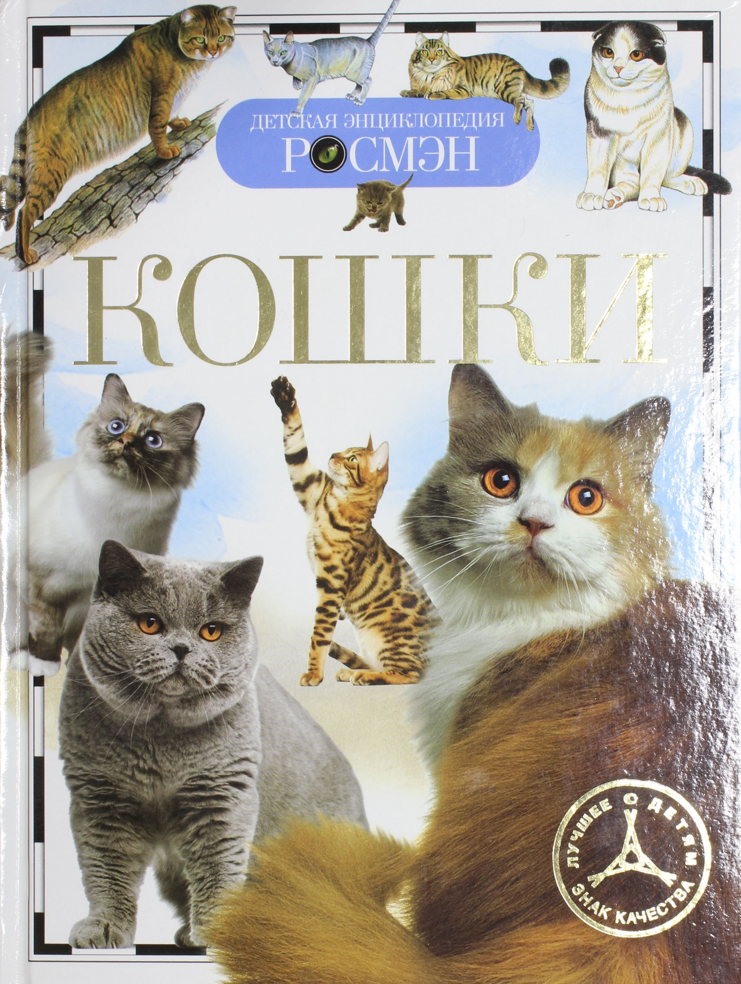 Детская книга о кошках от бренда SOVABOOKS, яркая обложка с изображением кошки и иллюстрациями для детей.