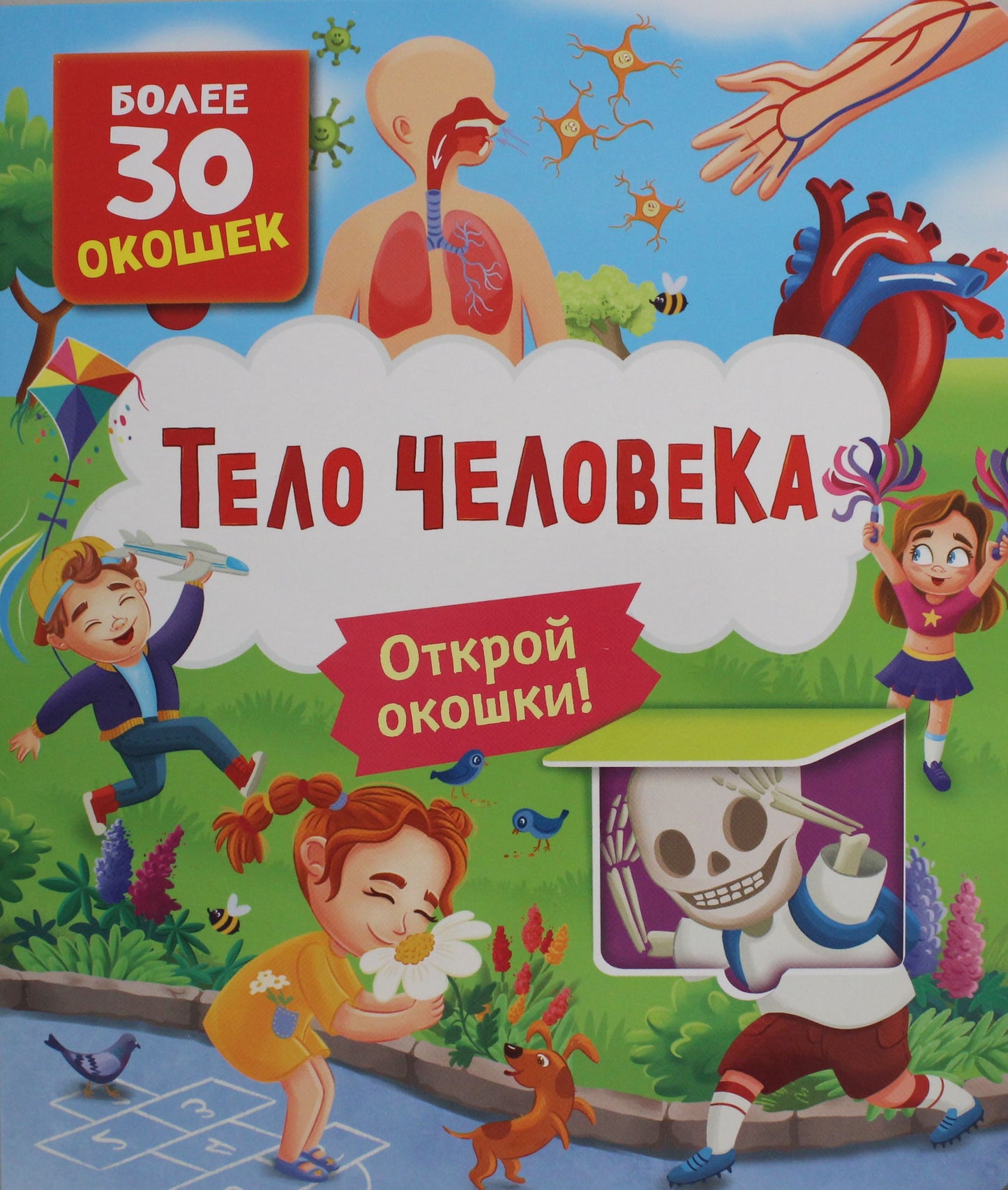 Детская книга с окошками о теле человека от SOVABOOKS, яркие иллюстрации и интерактивные окна для малышей