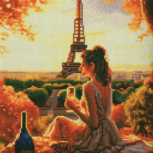 Книга Алмазная мозаика Пикник (40х50 см) | SOVABOOKS