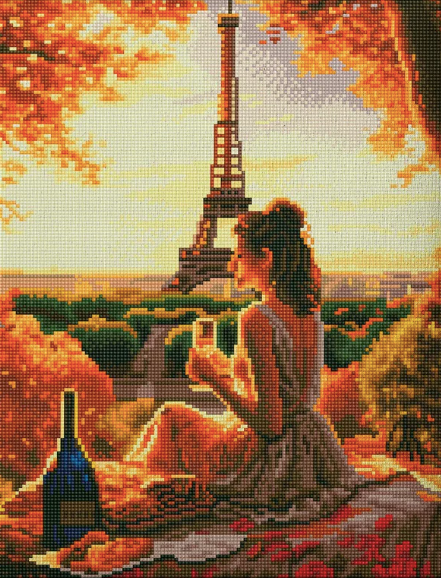 Книга Алмазная мозаика Пикник (40х50 см) | SOVABOOKS