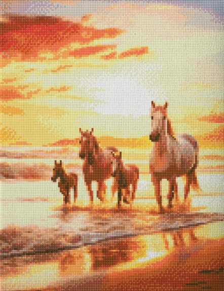 Книга Алмазная мозаика Лошади (40х50 см) | SOVABOOKS