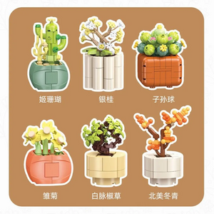 Набор конструкторов «Мини-суккуленты» (6 моделей, 520 деталей)