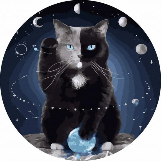 Круглая картина по номерам Кот в космосе