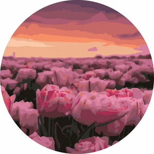 Круглая картина по номерам Поле розовых тюльпанов