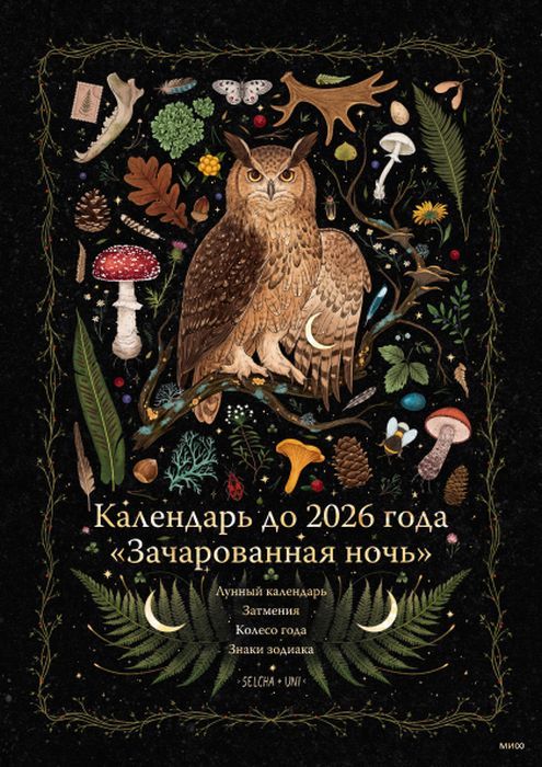 Настольный календарь Sovabooks «Зачарованная ночь» с изображением совы, до 2026 года, для офисных принадлежностей.