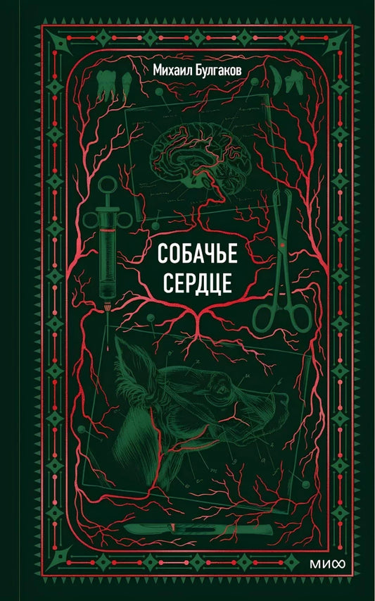 Обложка книги «Собачье сердце. Вечные истории» от Sovabooks, классика российской художественной литературы, изображение на обложке