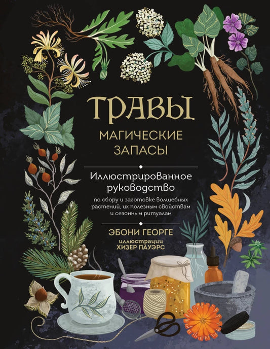 Травы. Магические запасы: иллюстрированное руководство по сбору и заготовке волшебных растений, их полезным свойствам и сезонным ритмам