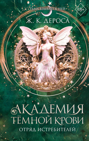 Книга "Академия темной крови. Отряд истребителей" ДеРоса Ж., фантастический роман, издание Sovabooks, обложка с книгой