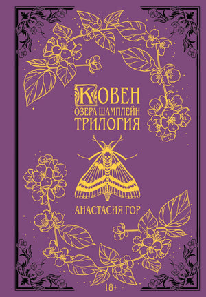 Детальное изображение книги "Ковен озера Шамплейн" трилогии Анастасии Гор, фантастический роман, издательство Sovabooks.