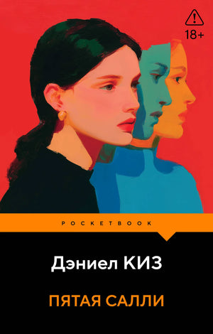 Обложка книги "Пятая Салли" — современная русская художественная литература от Sovabooks с изображением на обложке.