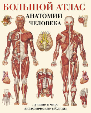 Большая книга по анатомии человека Махиянова Е.Б, издание Sovabooks, изображение обложки и страницы книги