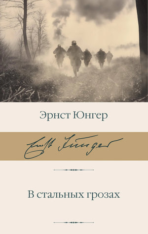 Русская художественная книга "В стальных грозах" Юнгер Э, классическая литература, издание Sovabooks, обложка и страницы