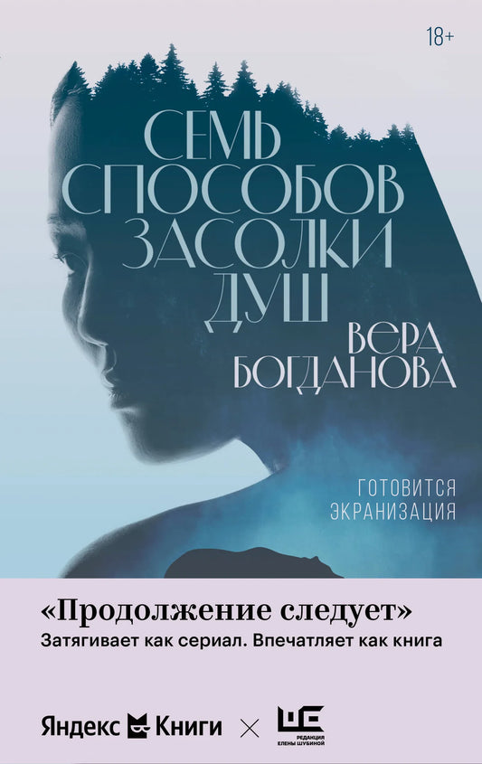 Обложка книги "Семь способов засолки душ" современной российской художественной литературы от Sovabooks, изображение.