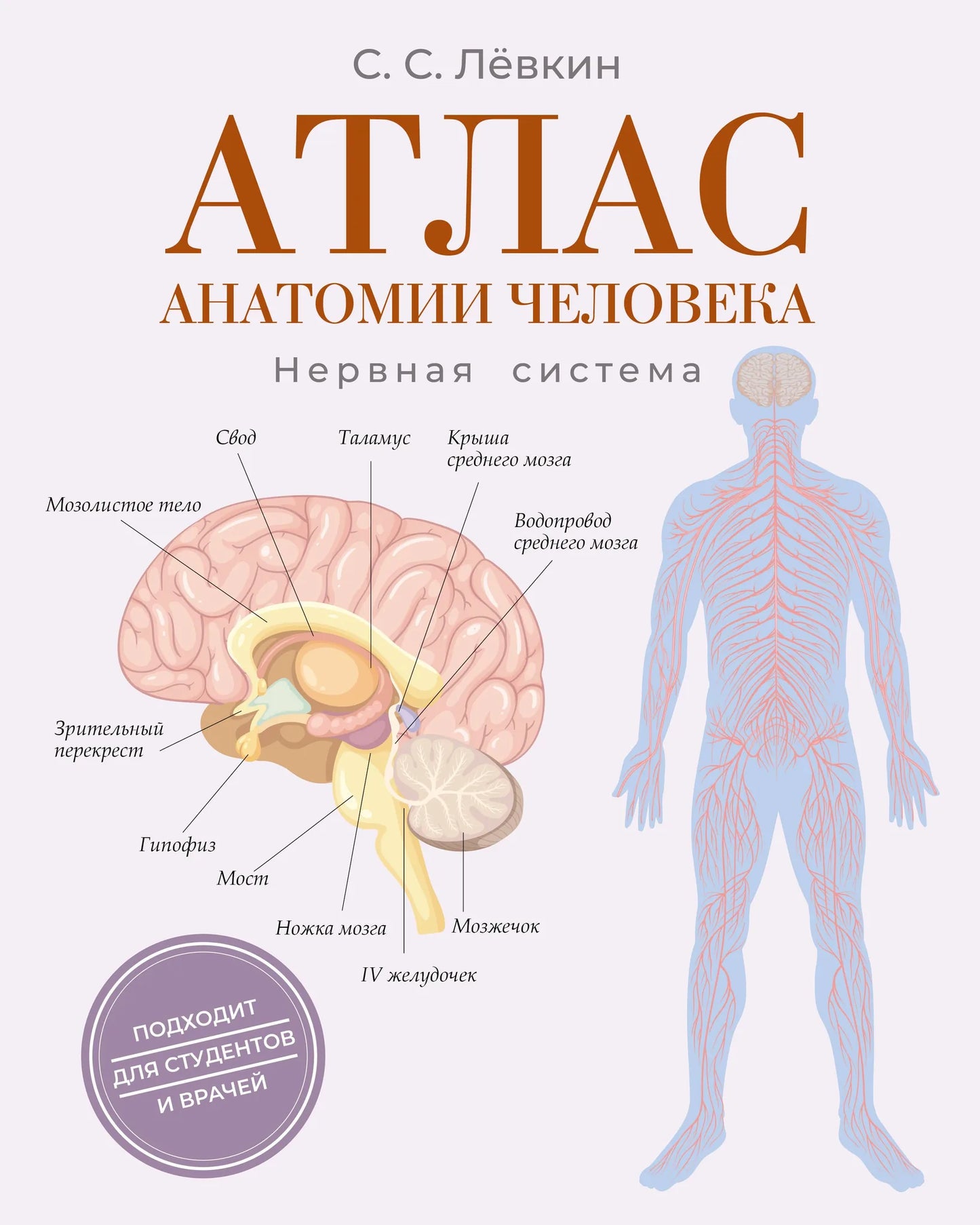 Атлас анатомии человека. Нервная система, книга Sovabooks, изображение обложки с иллюстрациями нервных структур и текстом