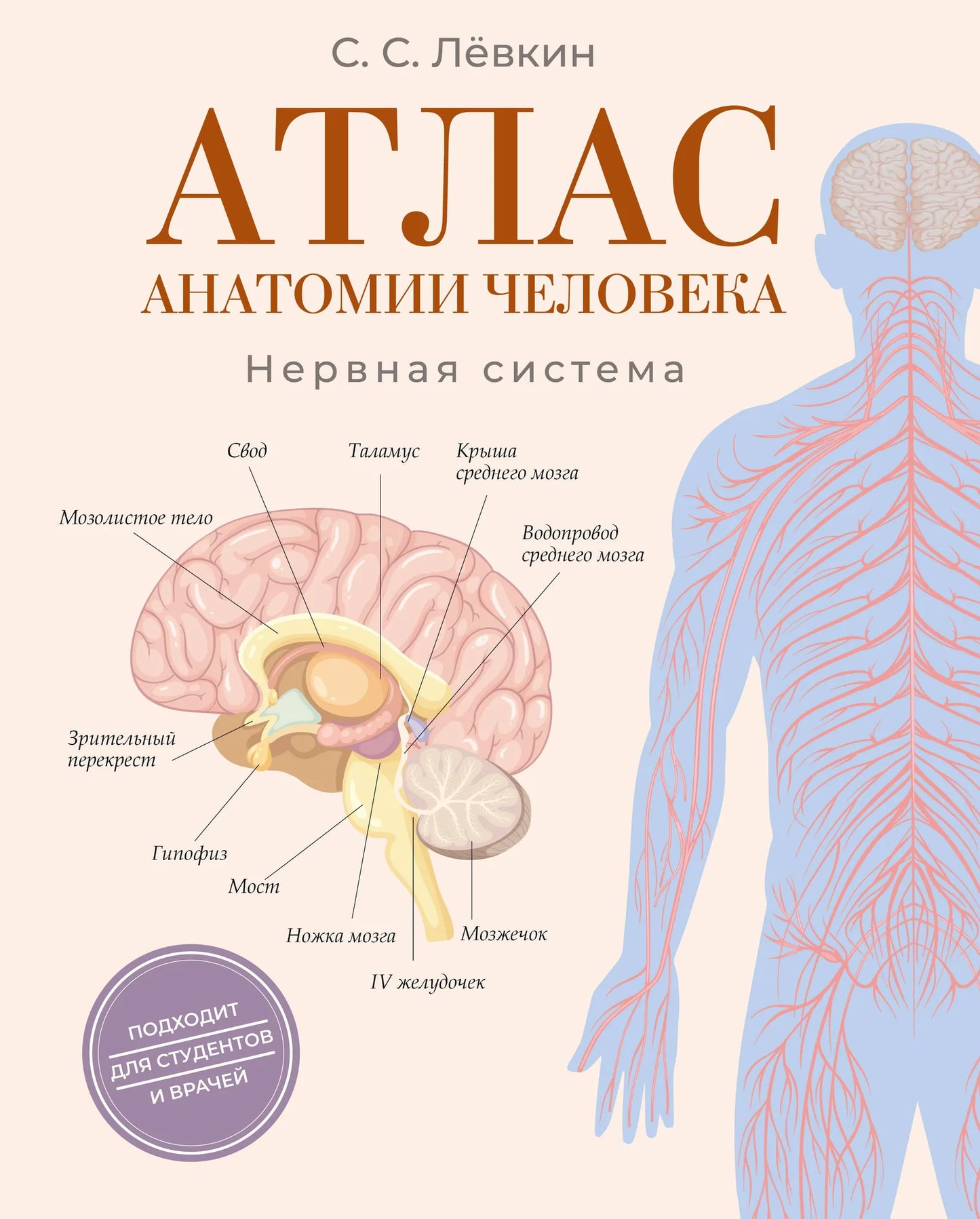 Атлас анатомии человека. Нервная система, иллюстрация нервных путей и структур, издание Sovabooks, изображение на обложке.