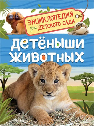 Обложка книги «Детёныши животных. Энциклопедия для детского сада» - Лариса Клюшник
