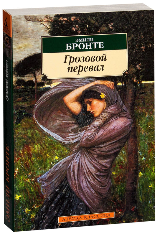 Обложка книги "Грозовой перевал" СоваБукс, изображение с тёмным пейзажем и атмосферным дизайном.