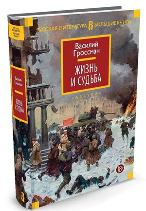 Современная художественная книга "Жизнь и судьба" В. Гроссмана, издана Sovabooks, изображение обложки, ISBN 9785389110465