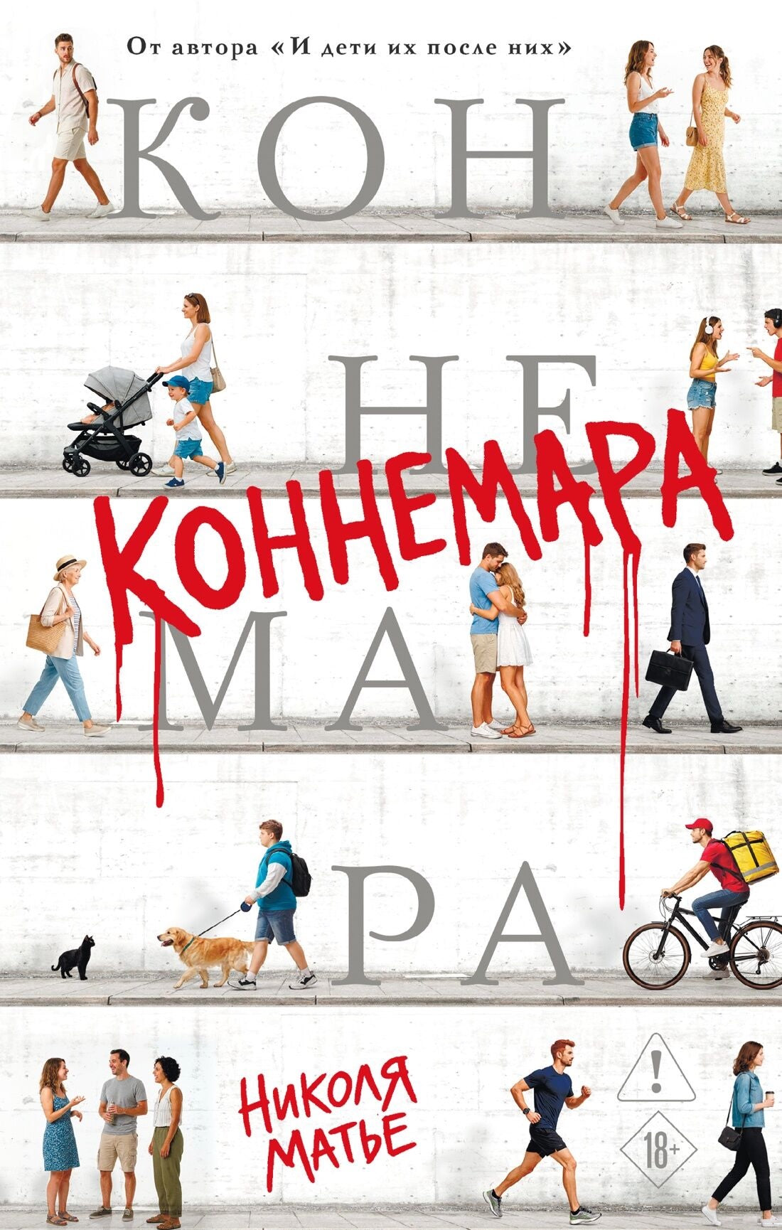 Обложка книги «Коннемара (Николя Матье)», Sovabooks