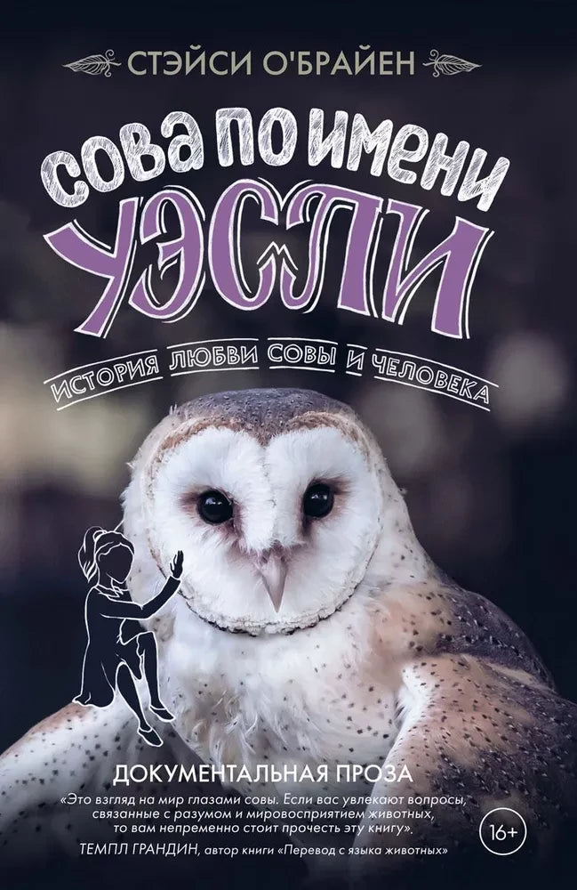 Иллюстрация совы по имени Уэсли, из книги Sovabooks о любви совы и человека, изображение с обложки.