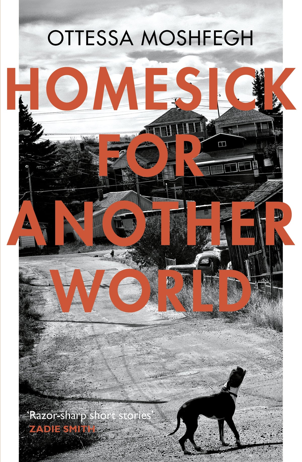 Книга "Homesick For Another World" Оцетты Мошфег, издание Sovabooks, обложка с иллюстрацией и названием на русском языке