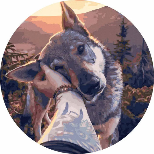 Круглая картина по номерам Лучший друг