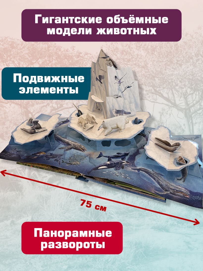 Детская 3D-энциклопедия о животных Sovabooks с объемными поп-ап фигурами, подвижными элементами и панорамами.