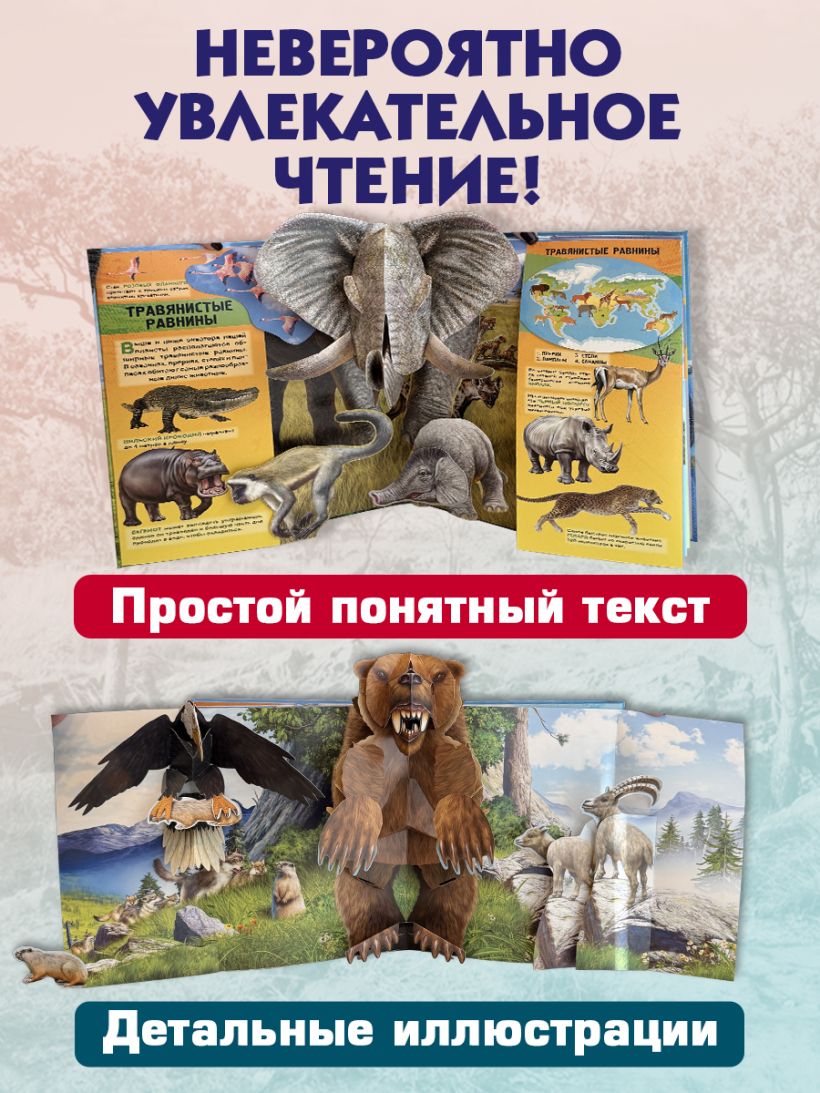 Детская книга "Животные" Sovabooks с объемными pop-up фигурами, подвижными элементами и панорамами, подарочное издание.