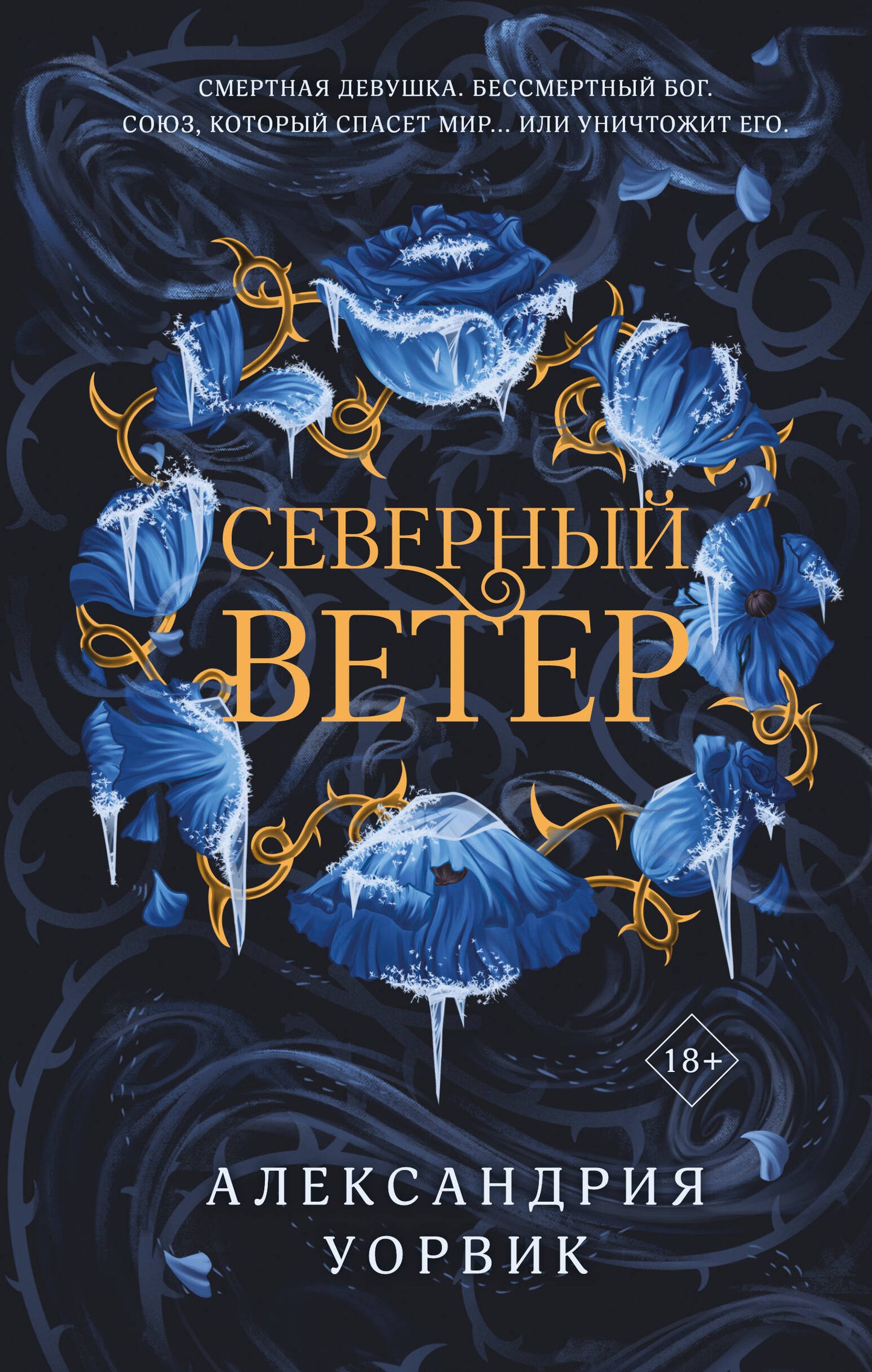 Обложка книги "Северный ветер" из серии Четыре ветра, фантастический роман в жанре фэнтези и научной фантастики от SOVABOOKS