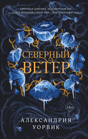 Обложка книги «Северный ветер» Уорвика А, фантастический роман, изображение художественного оформления на фоне книги Sovabooks