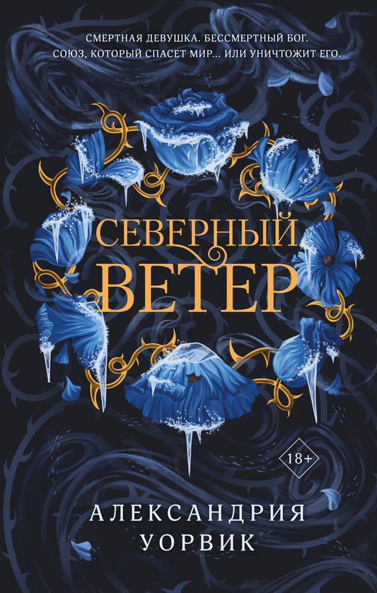 Обложка книги "Северный ветер" из серии Четыре ветра, фантастический роман в жанре фэнтези и научной фантастики от SOVABOOKS